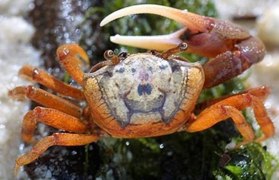 文创美物来了!北海首家景区文创店亮相银滩_招潮