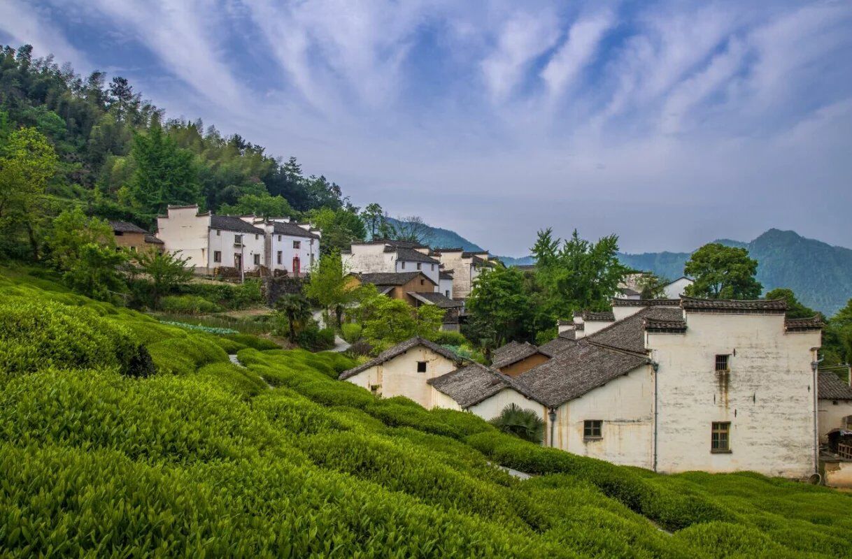 拍不够的四季金龙山,美醉了丨无门票