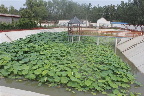 方城县赵河镇实施坑塘"美颜" 打响"美丽战役"_整治