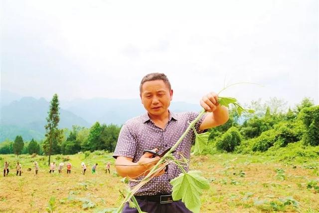 田茂盛经过多方考察,于2018年4月,将位于社区五组