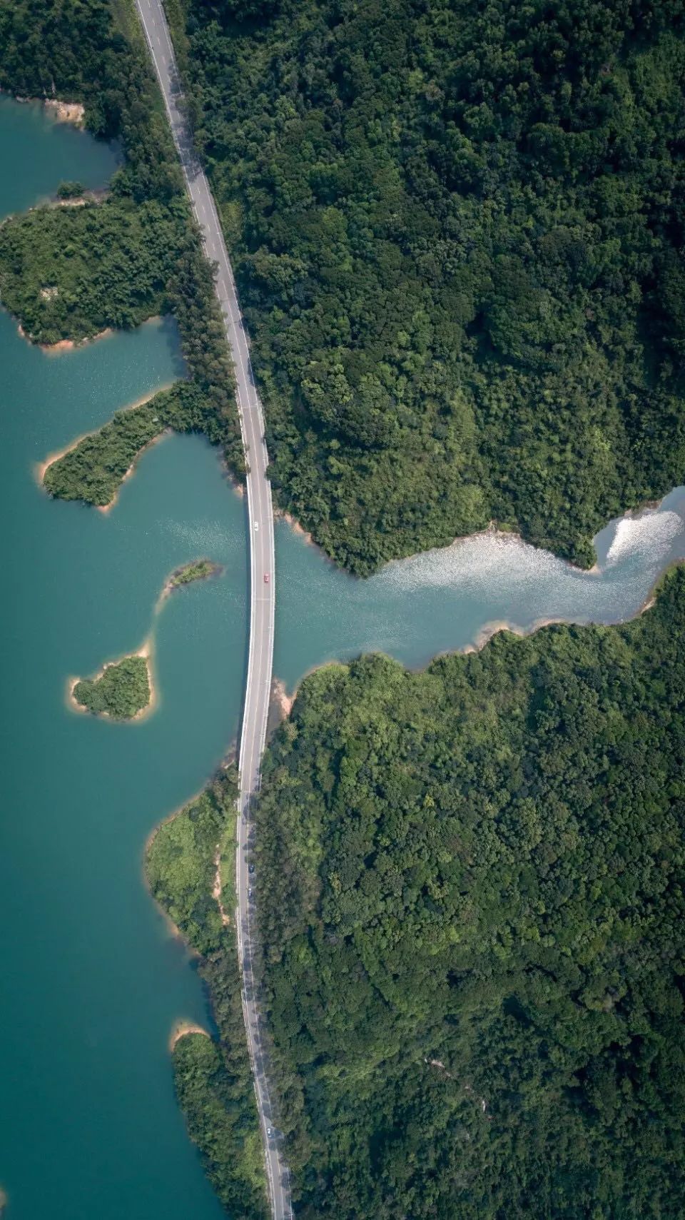 最美绿道如此设计