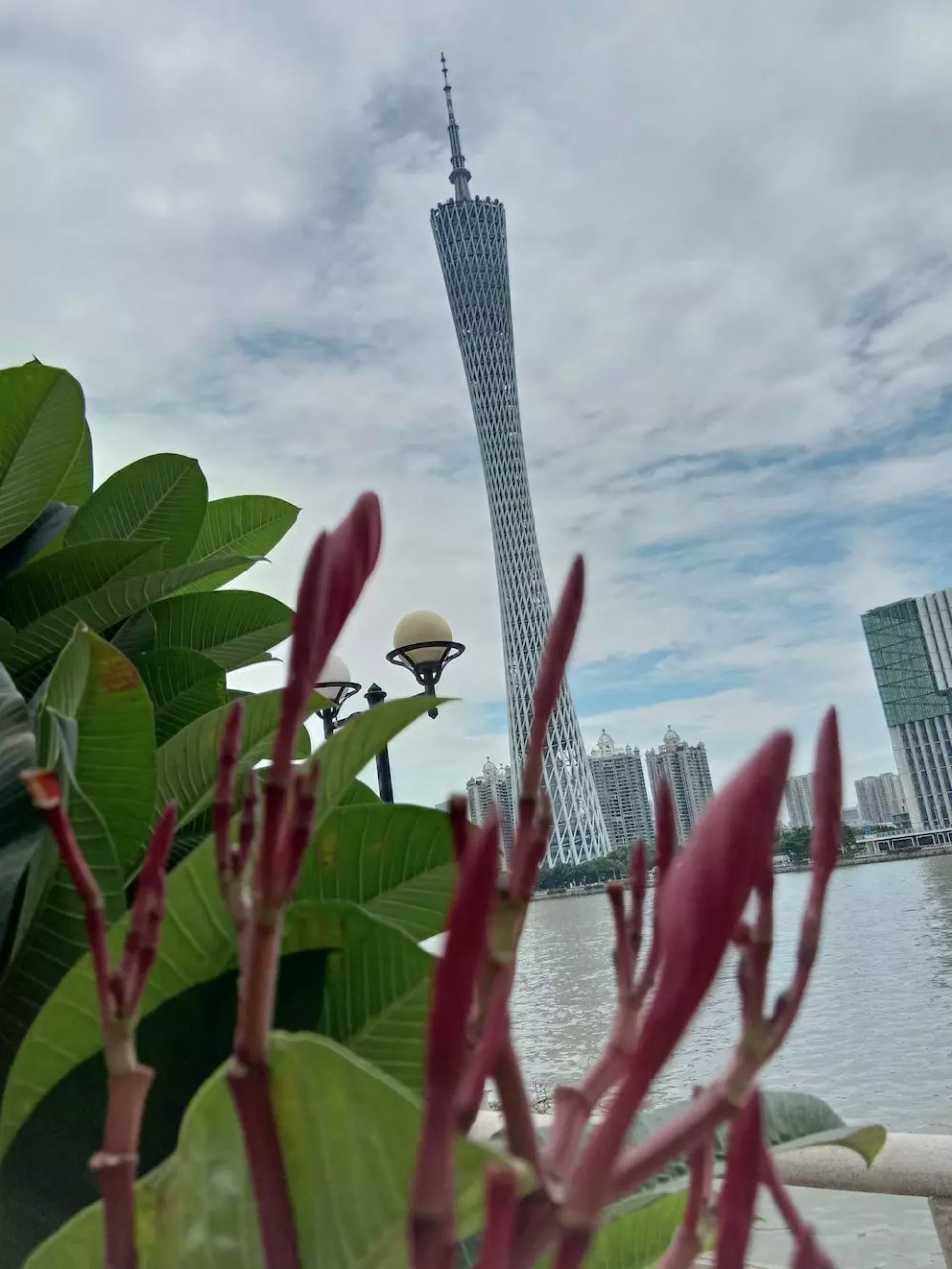 二沙島藝術公園廣州最美鑽石草坪是小蠻腰最佳觀測點