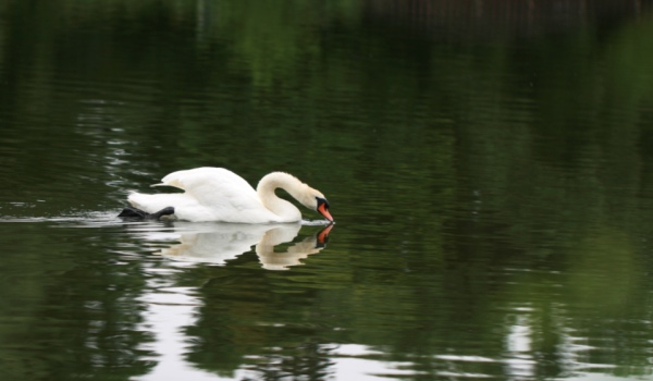 家电导购员日子比想象中更难过，到底是国美苏宁们谁的责任？-家电圈官网