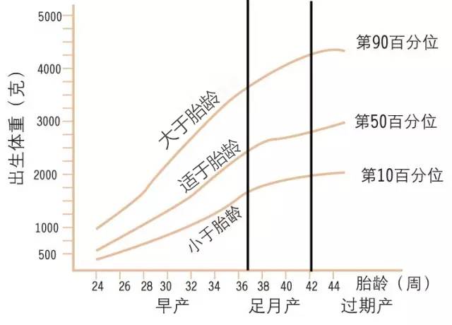 足月小于胎龄儿对照表图片