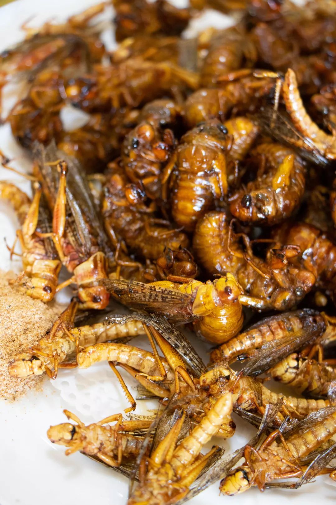 慢工细活坚守农家菜最地道的做法这家店的大骨棒炖鱼你绝对没吃过