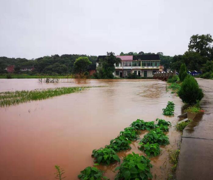 衡南县泉湖镇凤山村图片