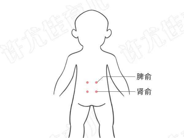 儿童脾虚艾灸位置图图片