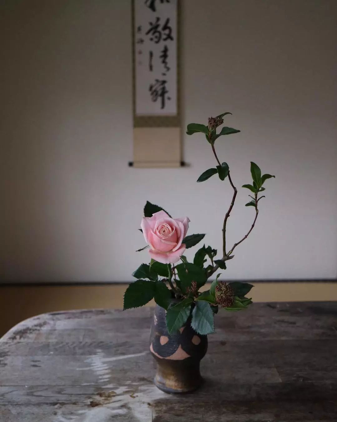 禅意花卉,花卉花草(第2页)_大山谷图库