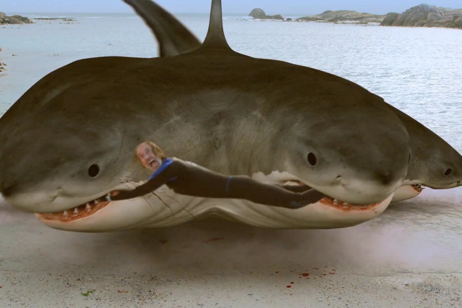 这鲨鱼长6个头用头走路,最不能见人秀恩爱,狠起来连自己都咬!