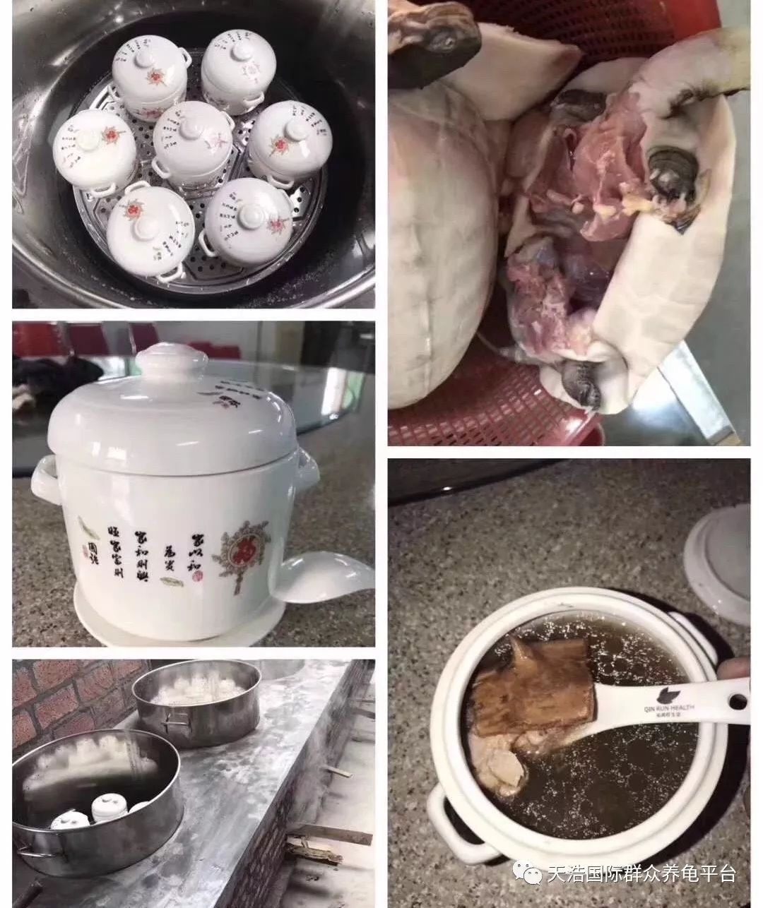 不要舍不得喝龟汤长期食用石金钱龟对身体健康起到很大的帮助