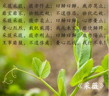 其实《卷耳》也有这样的写法_诗经