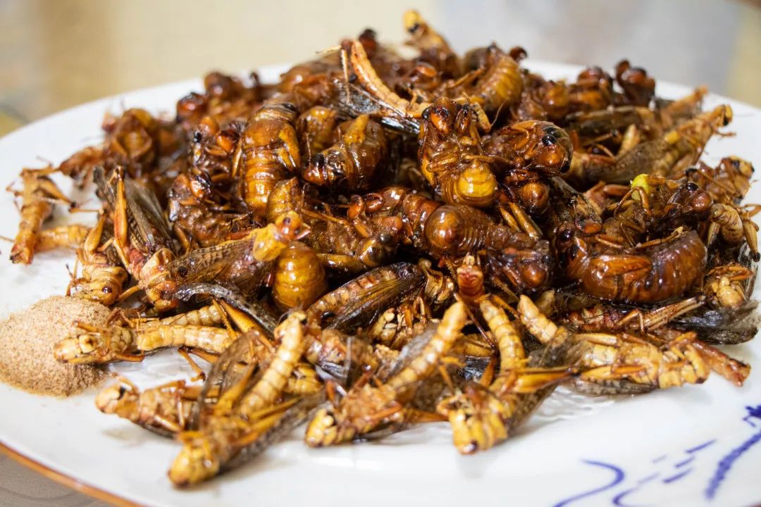 带着椒盐味的炸蚂蚱很有嚼劲,最爱的还是知了,炸的酥透,一口一个停不