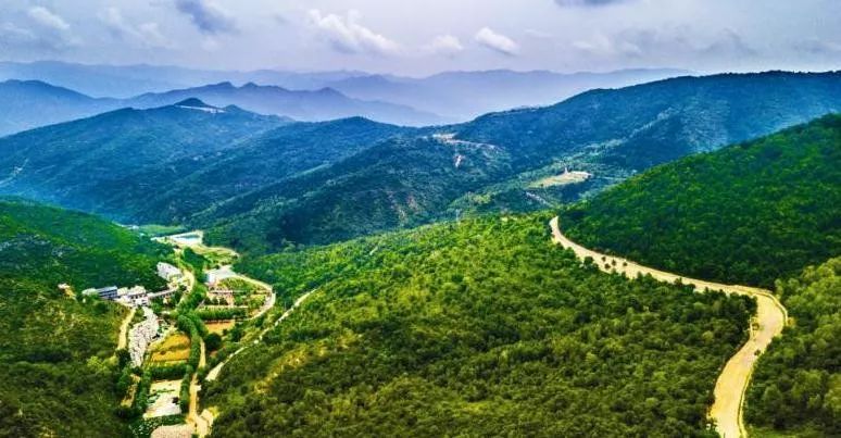 生态凌井沟自然保护区层峦叠翠涵谷碧雀欢鸟鸣蕴天华