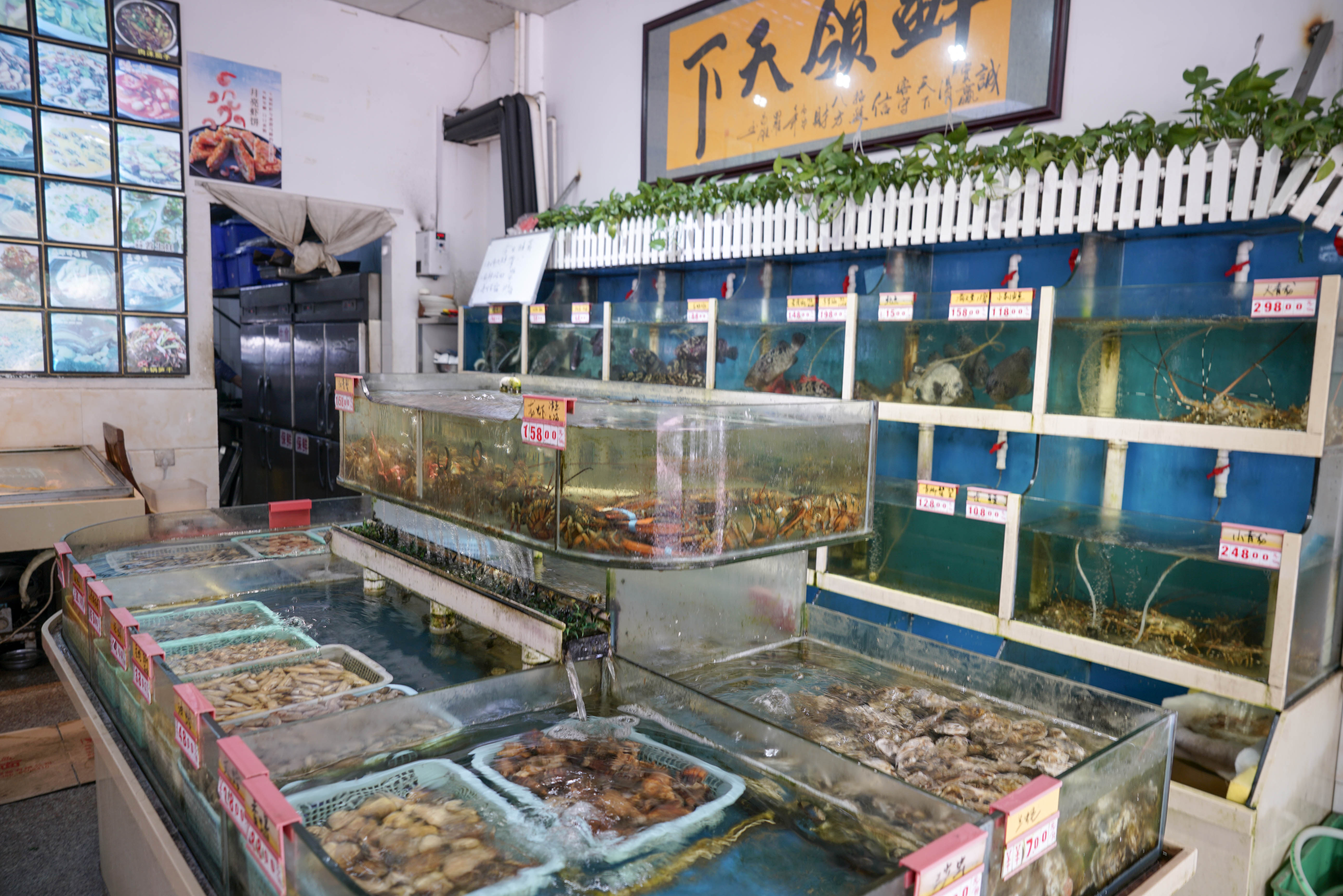 菜市场卖鱼店装修图片图片