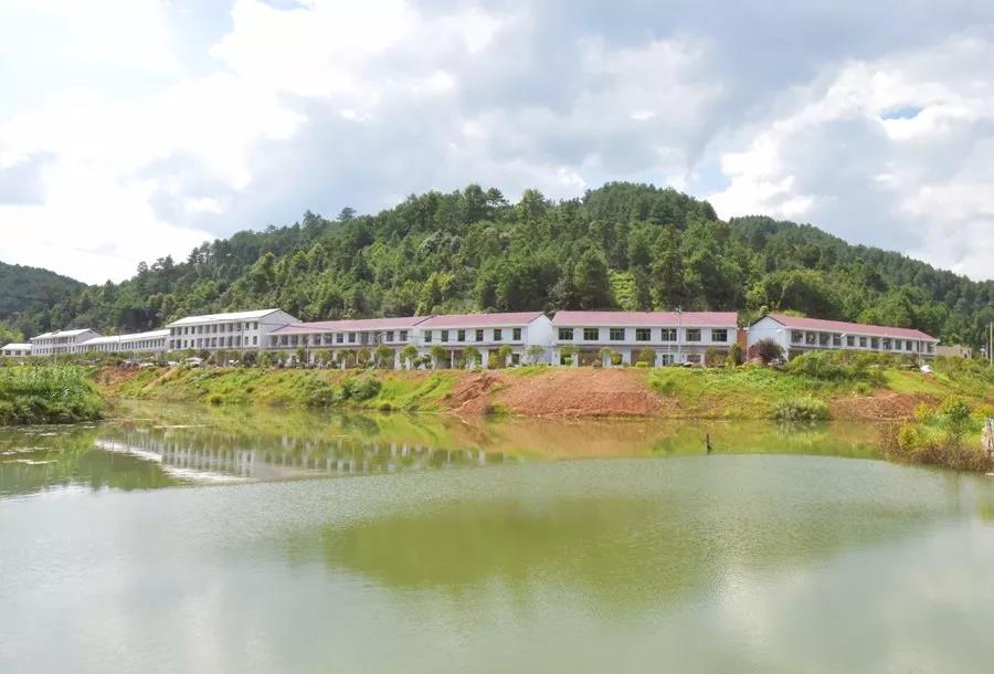 蔡溪村小龙虾养殖铺开村民致富路