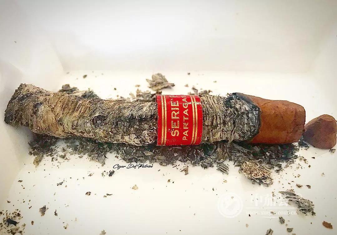 关于雪茄烟灰的学问高希霸罗布图雪茄赏析