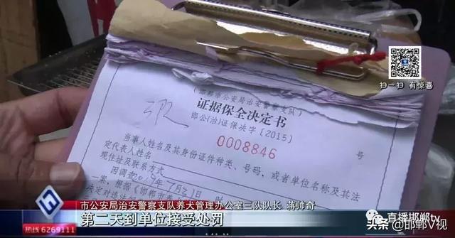 邯鄲人注意沒狗證違規遛狗狗主人要被開罰單