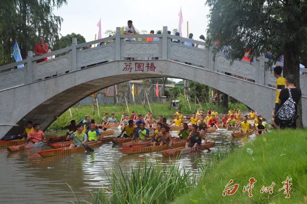 壮观鸦岗单人龙舟联赛来袭广佛54条龙舟对决