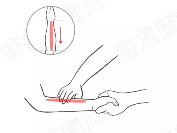 4,小兒推拿健脾助消化●健脾益氣.