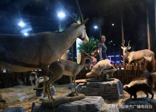 国内首个"夜间动物园"要来了,离如皋很近