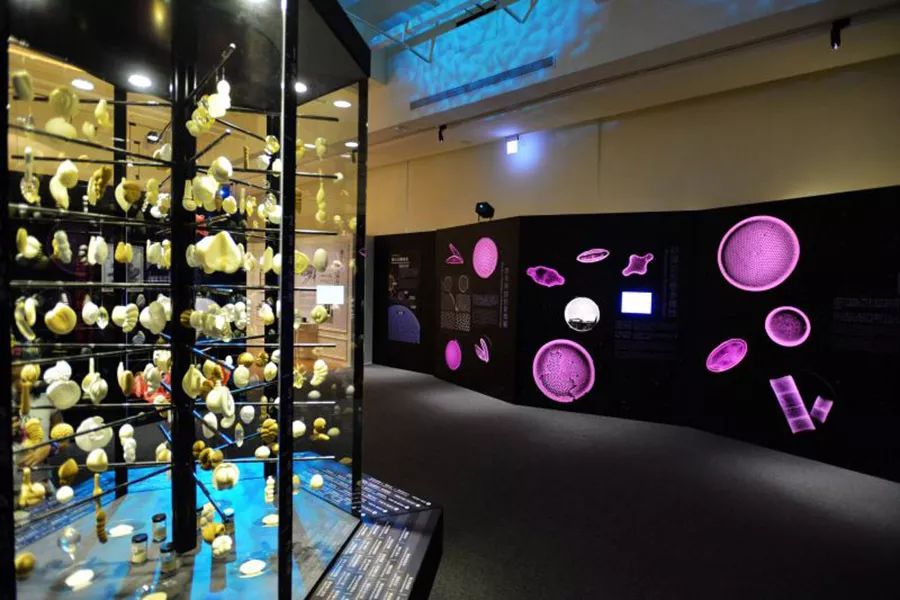 马上七夕了和你的ta一起去看海洋展览吧