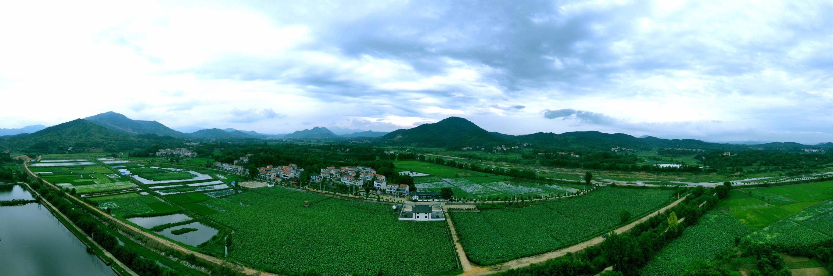 摄影欣赏《荷花盛开美村庄-但店镇朴树大湾村》