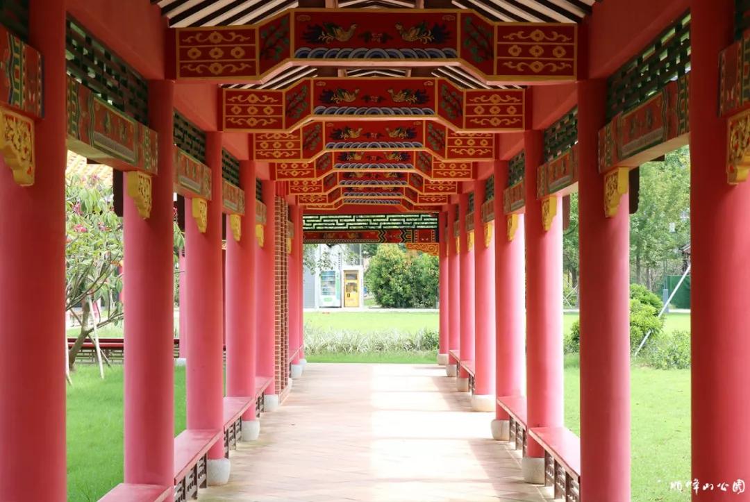 新晋网红点上线顺峰山公园凤凰大草坪新增一条风雨长廊