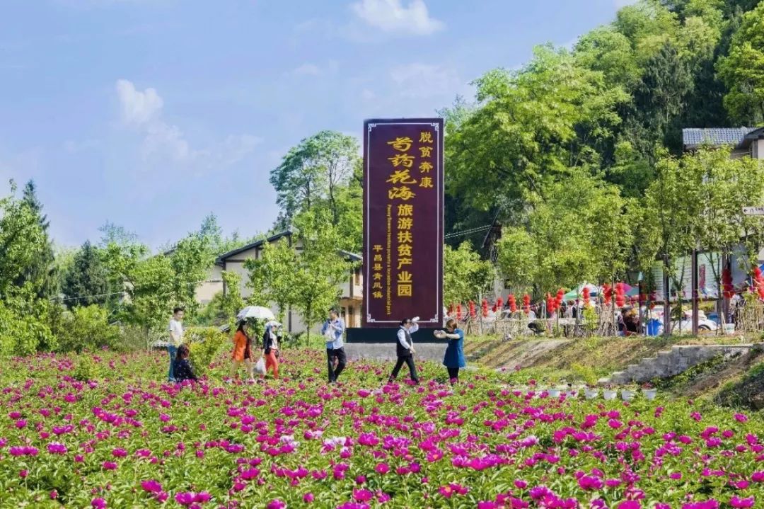 平昌县,南江县红光镇入选全国乡村旅游发展典型案例!