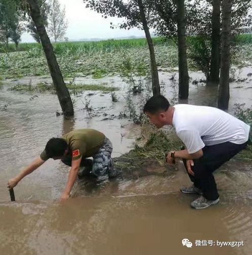 巴彦县镇东乡基层党组织积极开展防汛工作