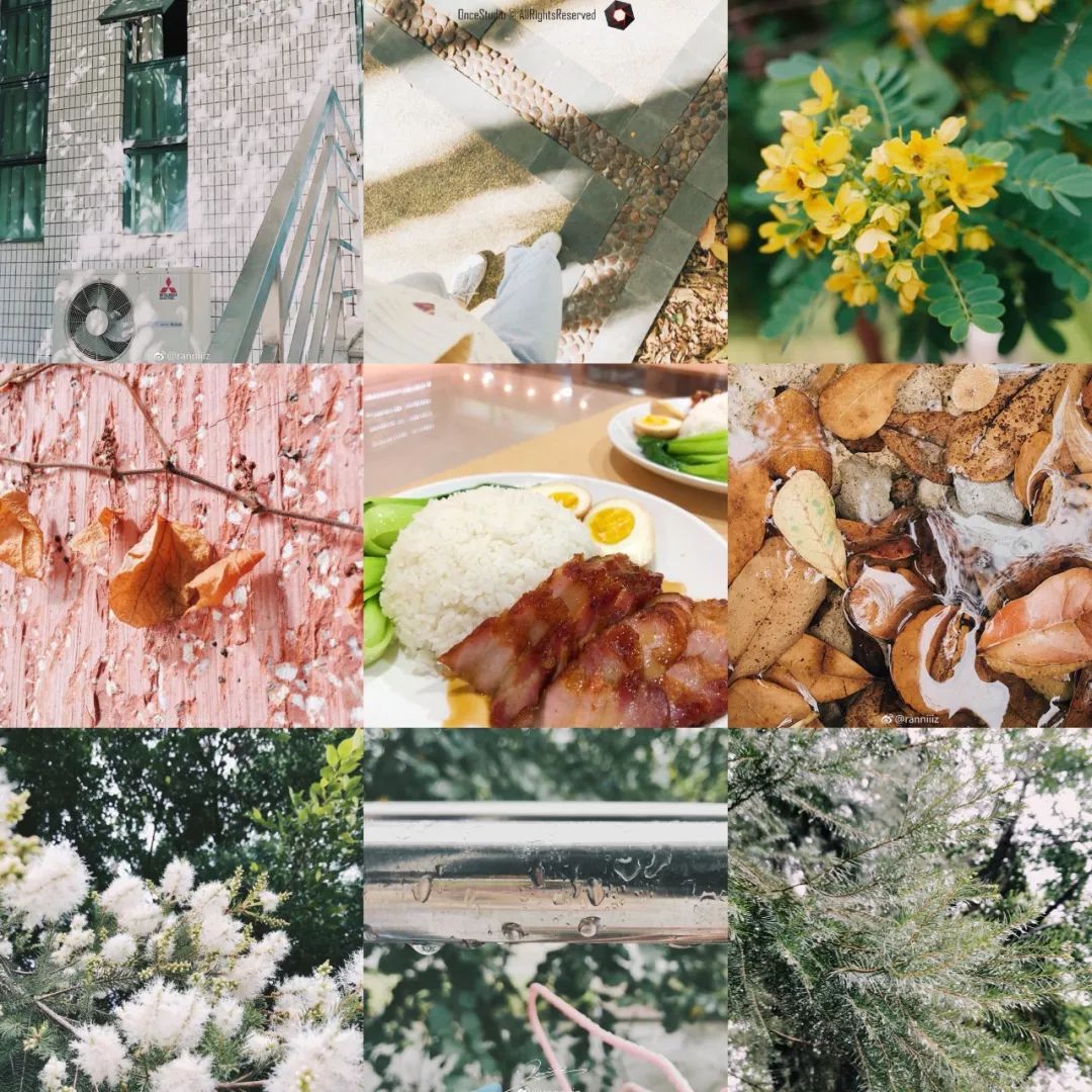 治愈108张图带你看我在广金的秋冬春夏