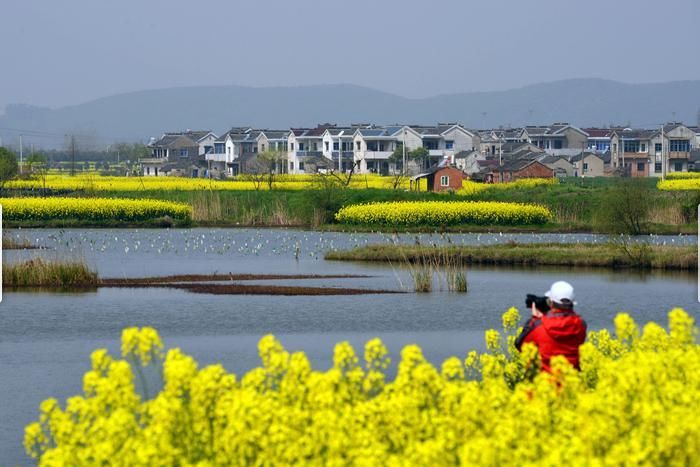 鎮 東門社區伊山鎮 城北社區灌雲縣青口鎮 墩後村海頭鎮 李巷村海頭鎮