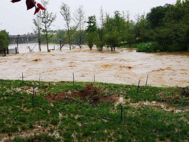 洛阳今天大雨孟津农田和湿地都是洪水瀍河涨水咆啸东去