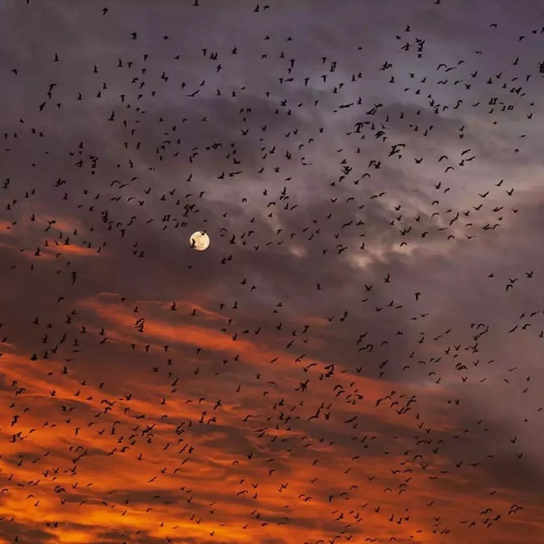 背景图我认为你是我的奖励你却觉得我是你的惩罚