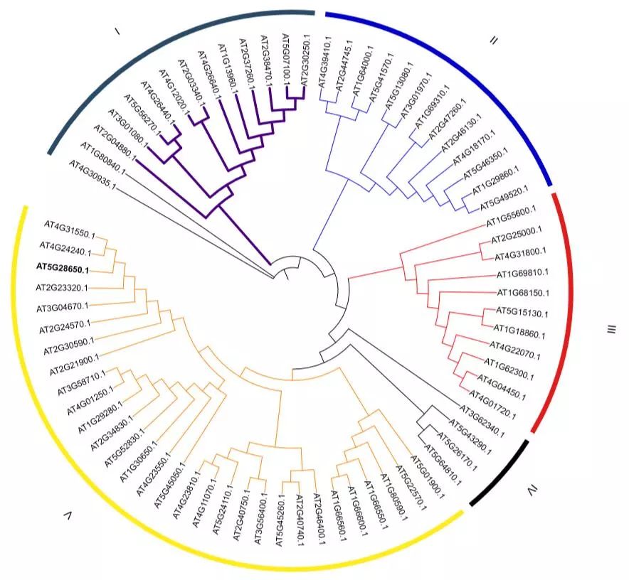 武汉站基因家族分析实操培训班第九期开始报名