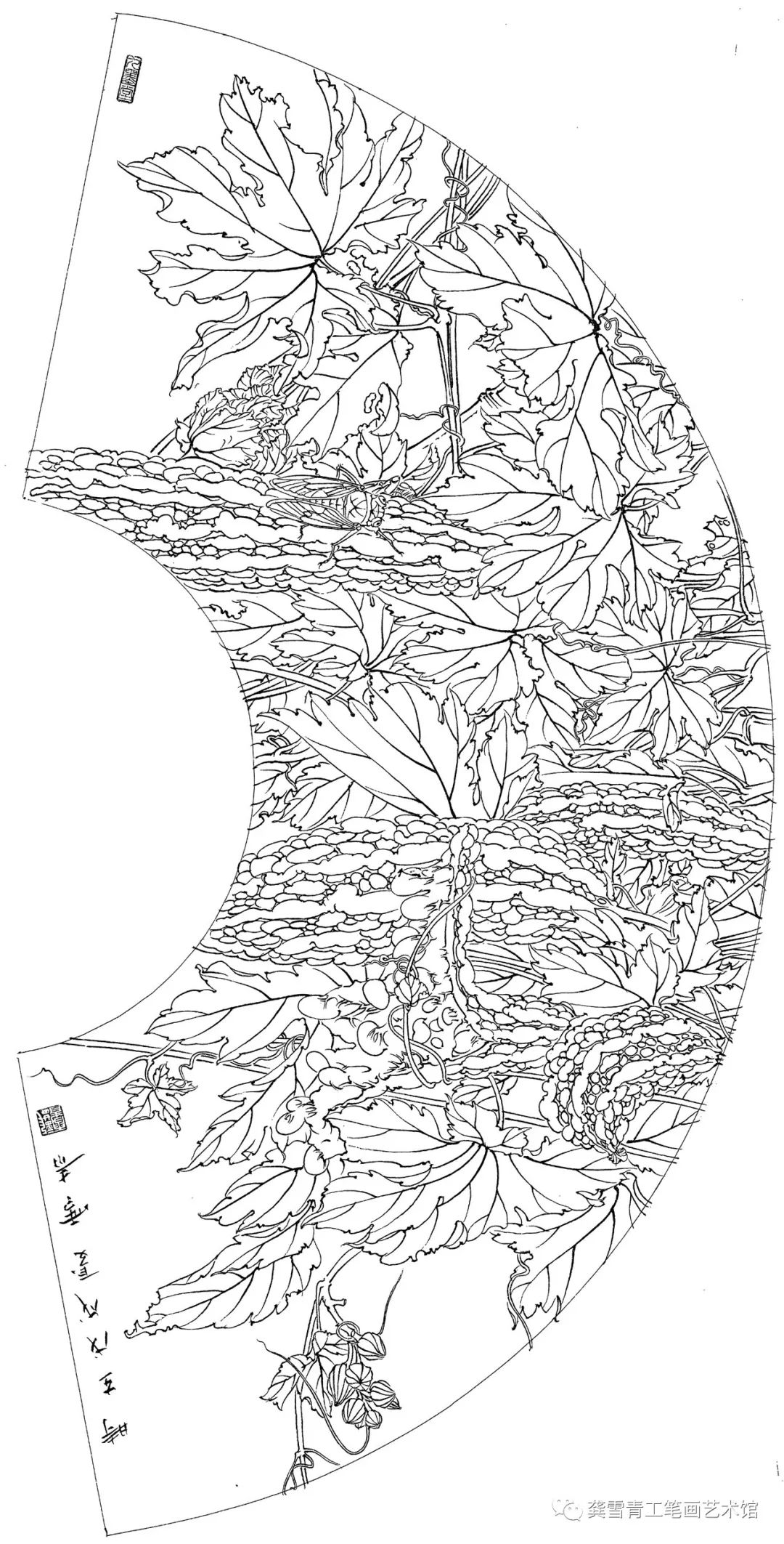 白描勾线:蝉的头部用浓墨勾,翅膀用墨稍淡一些;叶子用中墨 花青;苦瓜