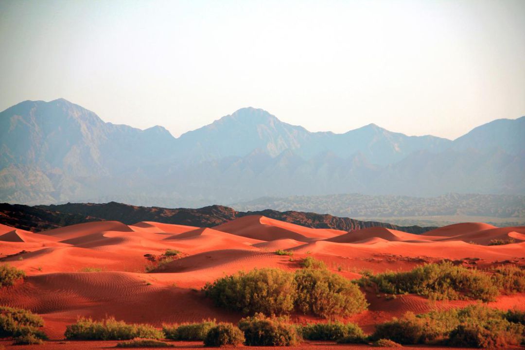 柯坪旅游八大金刚之--红沙漠柯坪这里生长着一种绿色生命,被人们誉为