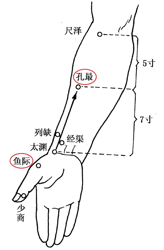 探查肺經,敲揉