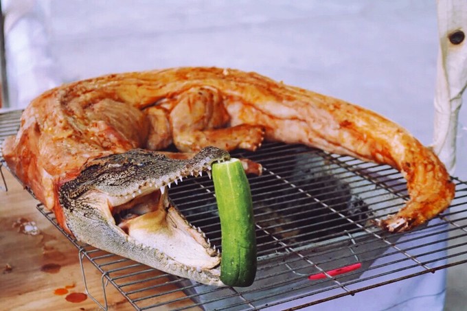 美国本土的"鳄了吗":你敢买,却不一定敢吃_鳄鱼