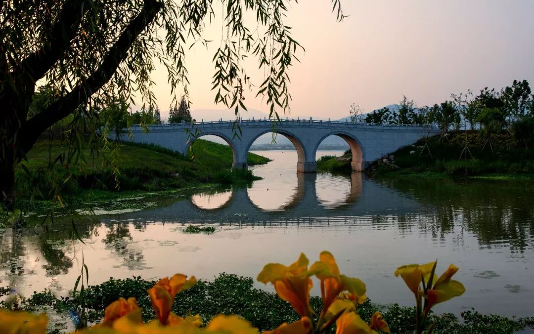 嵊州"小西湖"美景初现!唐风建筑,人造沙滩,岛屿花海