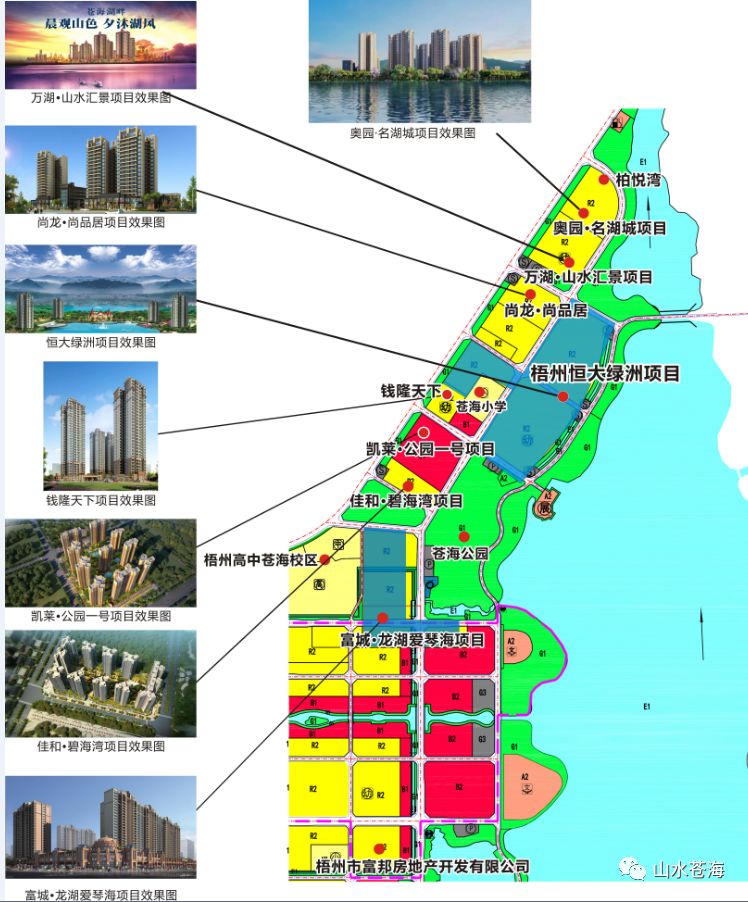 苍海新区规划图图片