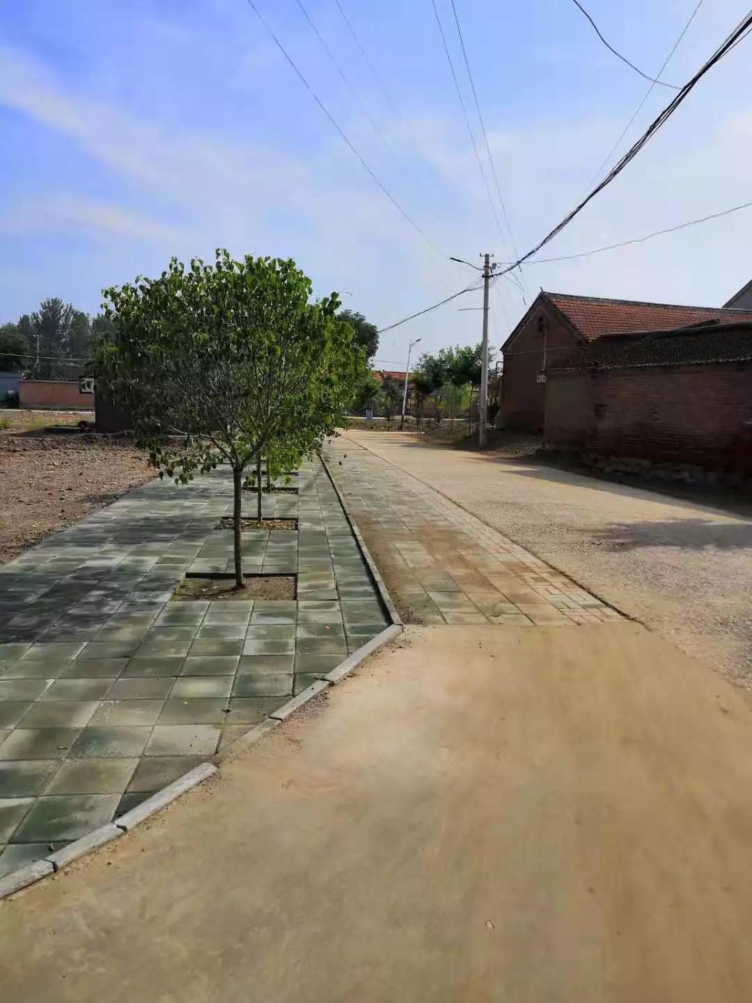 东施古镇清洁我家工作之九