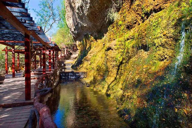 茂密的林地,幽深的峡谷,舒缓的草甸,这些北疆最典型的景点,在叶城的坡