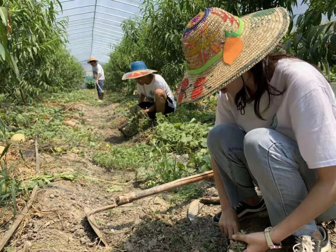 我校研究生田间地头开发4万字劳动教材