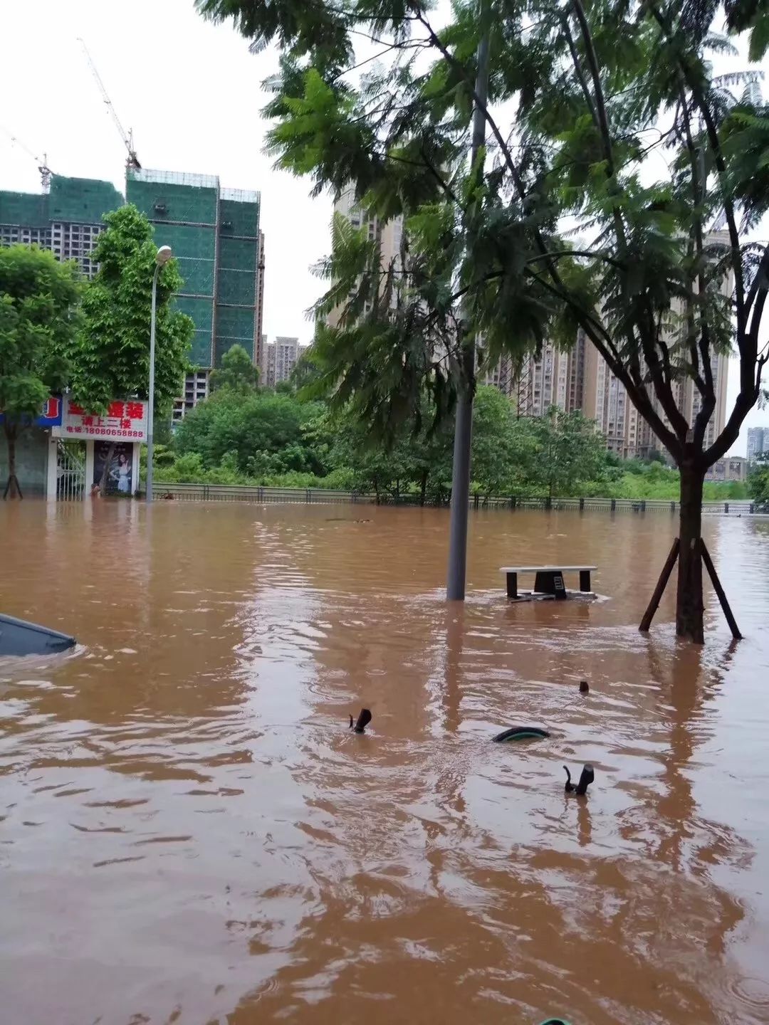 暴雨来袭乐山一夜可以看海大佛景区今日闭门谢客