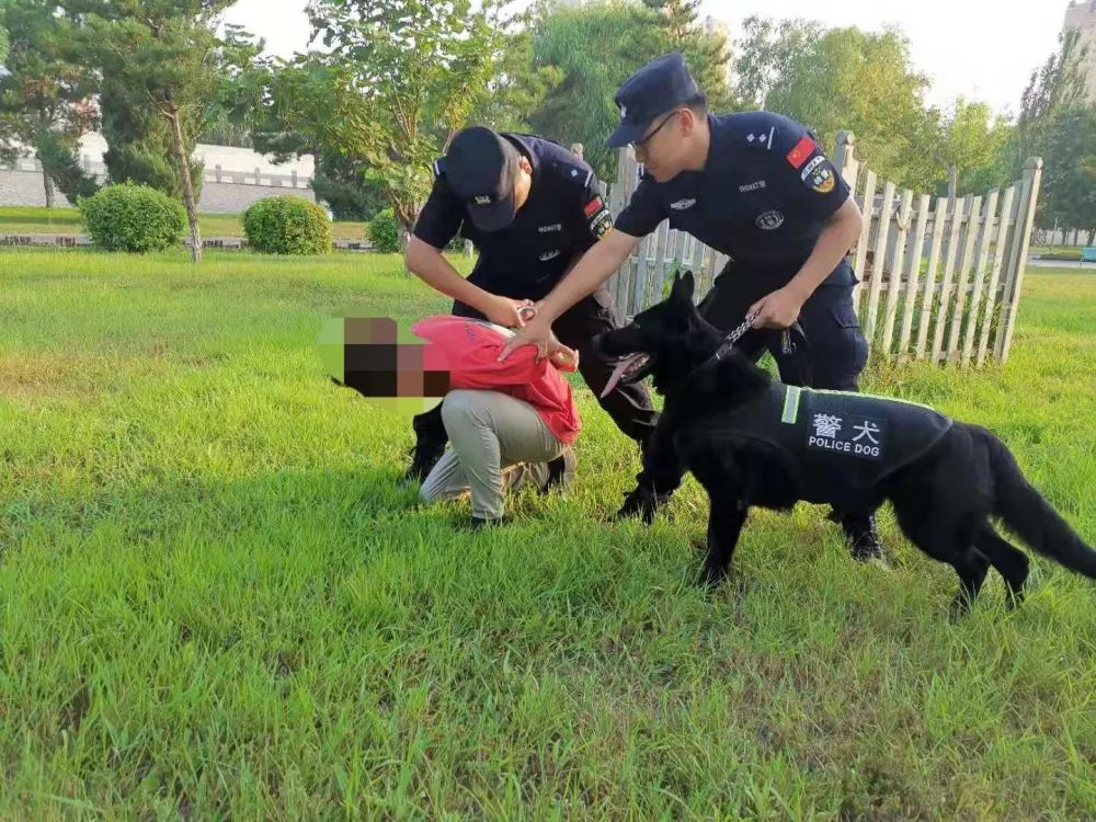 通辽辽河公园一小偷逃跑,警犬追上去后小偷一动不动.