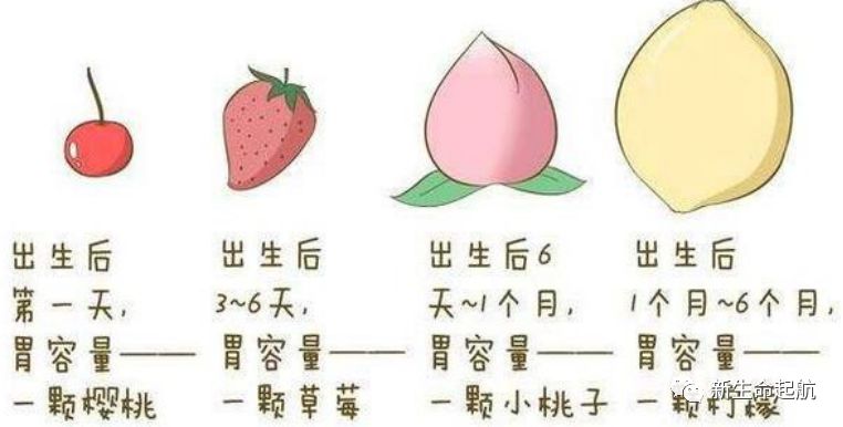 市第六人民医院产科病房-【母乳喂养周】系列科普-新生宝宝的胃有多大