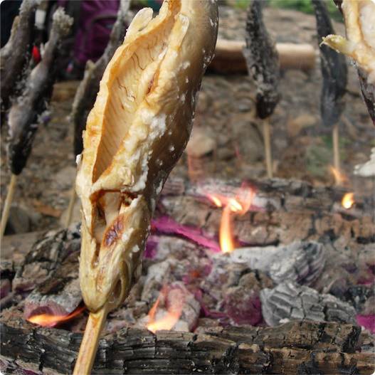 2天1夜荒野求生埋锅做饭建土灶煮虾烤鱼美食秀