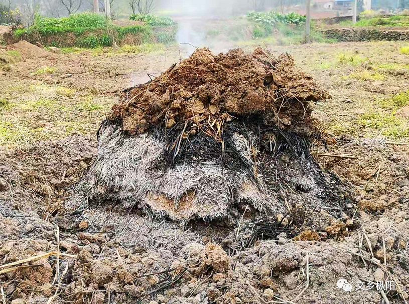 文乡记忆大钺锄和他的火粪堆