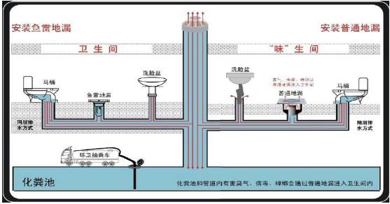 高楼厕所下水道结构图片