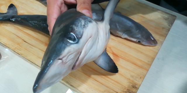 鲨鱼能吃吗试试这道简单美味的清蒸鲨鱼原汁原味好吃极了